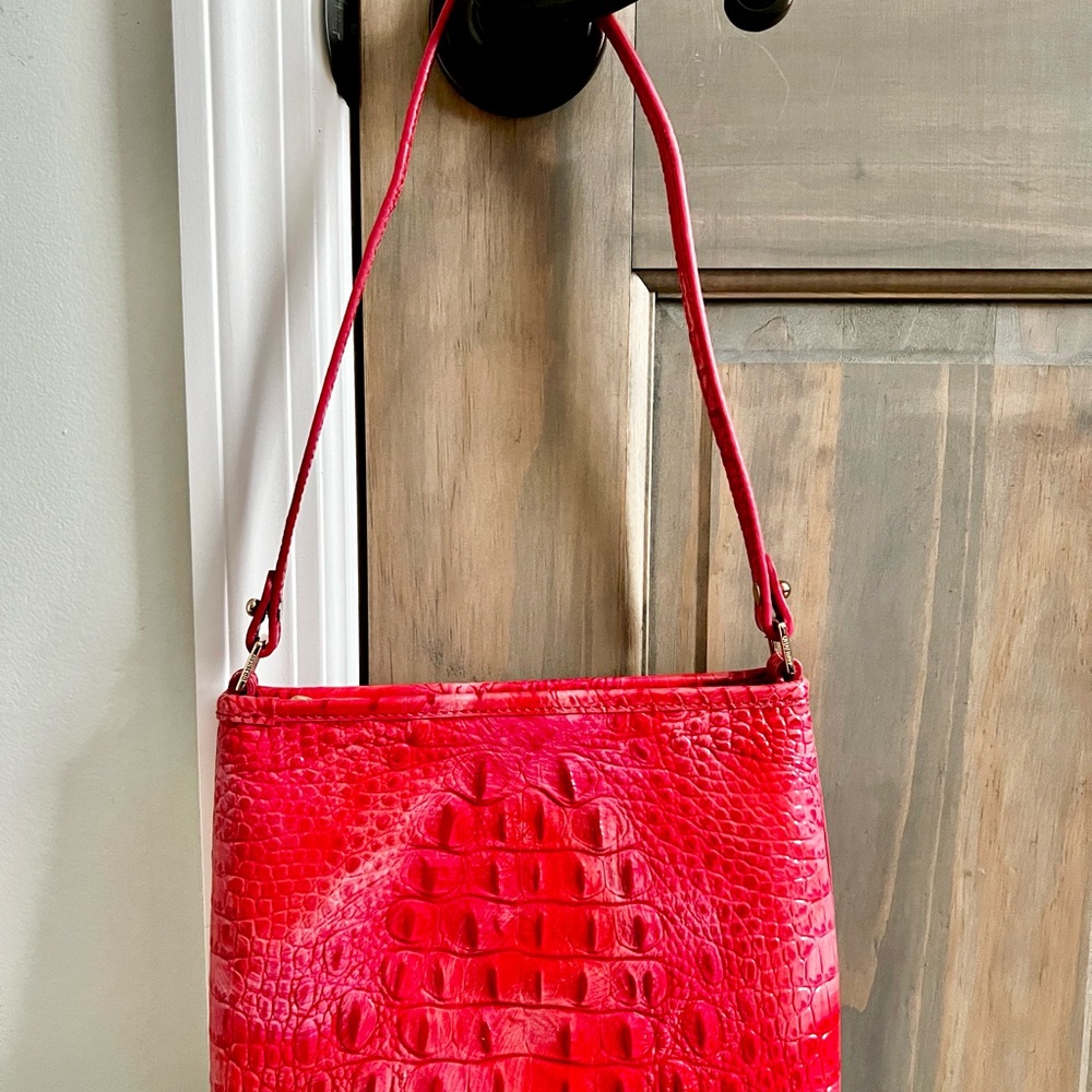 Brahmin - Picture 2 of 7